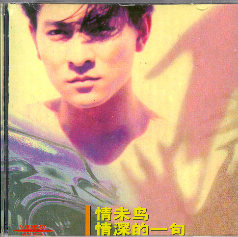 Andy Lau Melody MTV Vol3
